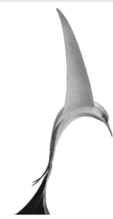 “Ascension” – Abstract Wooden Bird Sculpture[A70]