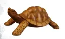 “Timeless Journey” – Handcrafted Wooden Turtle Sculpture[A87]