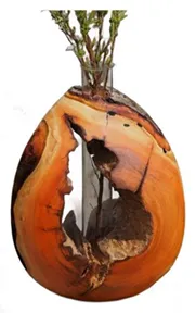 Handcrafted Wooden Egg-Shaped Vase with Indoor Plants[A1]