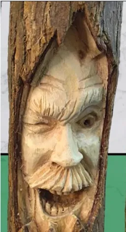 Spirit of the Bark – Log Face Sculpture[A150]